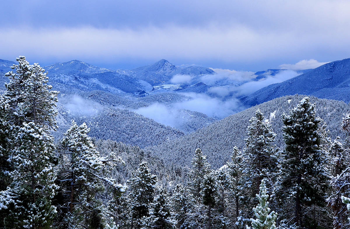 Snowy mountain peaks in the distance.